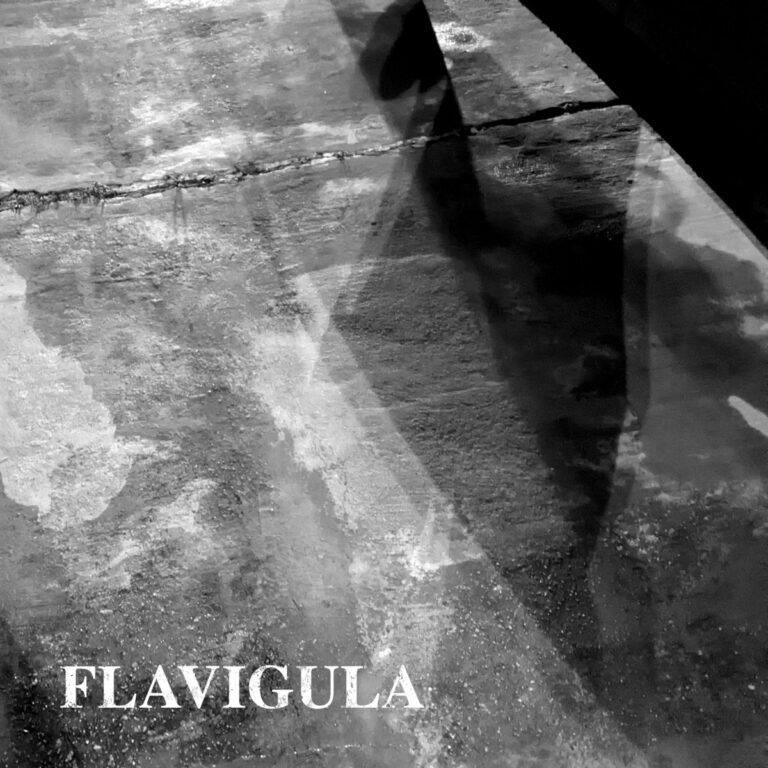 Flavigula